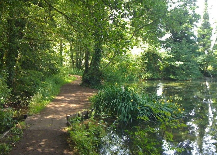 Holywells-Park