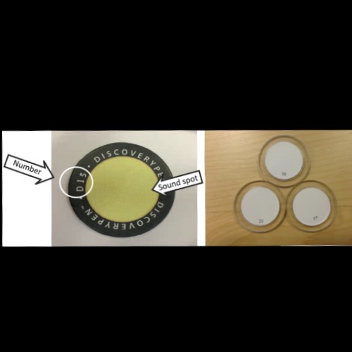 how-medallions-are-sound-activated